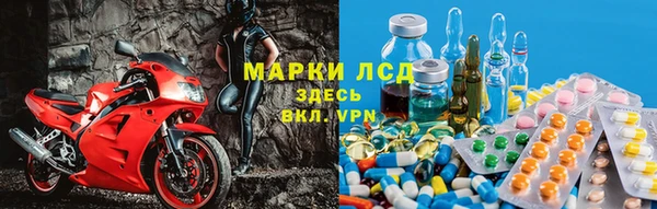 стаф Осташков