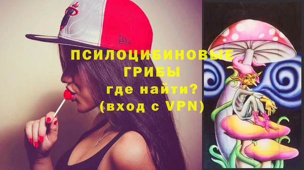 PSILOCYBIN Остров